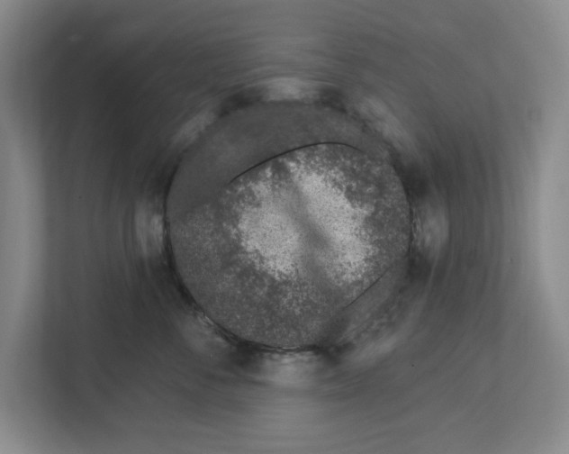 X0000112460716200909141058