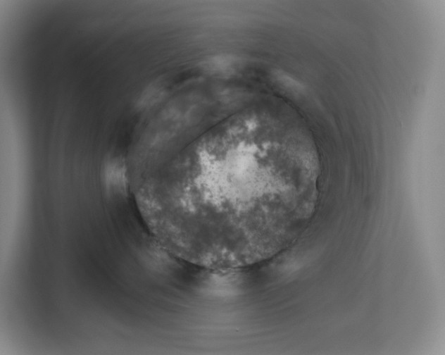 X0000112460720200909141058