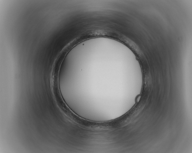 X0000112460722200909141057