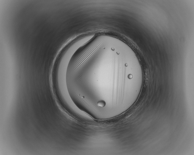 X0000112460726200909141057