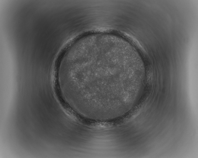 X0000112460736200909141058