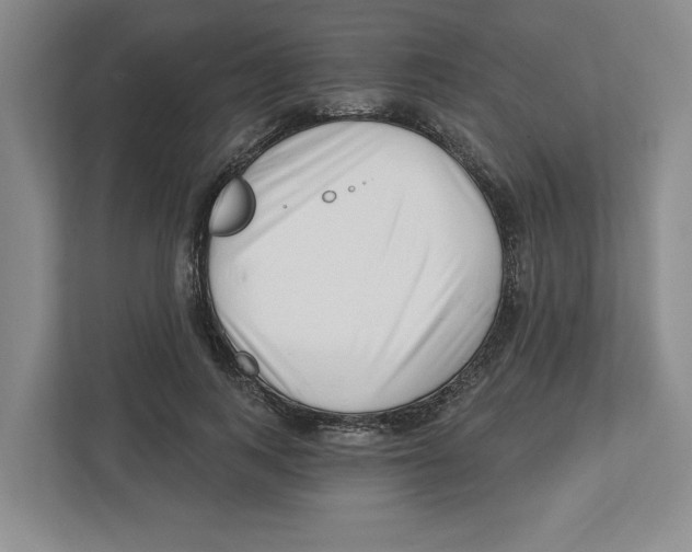 X0000112460743200909141058