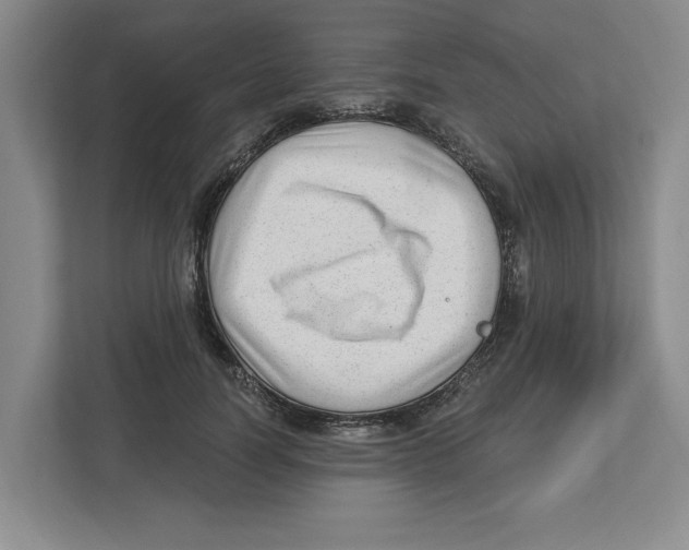 X0000112460746200909141058