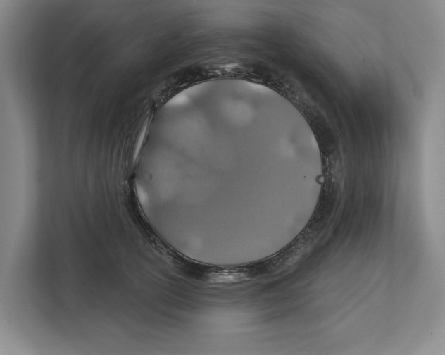 X0000112460754200909141058