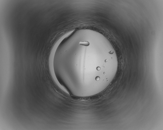 X0000112460756200909141058