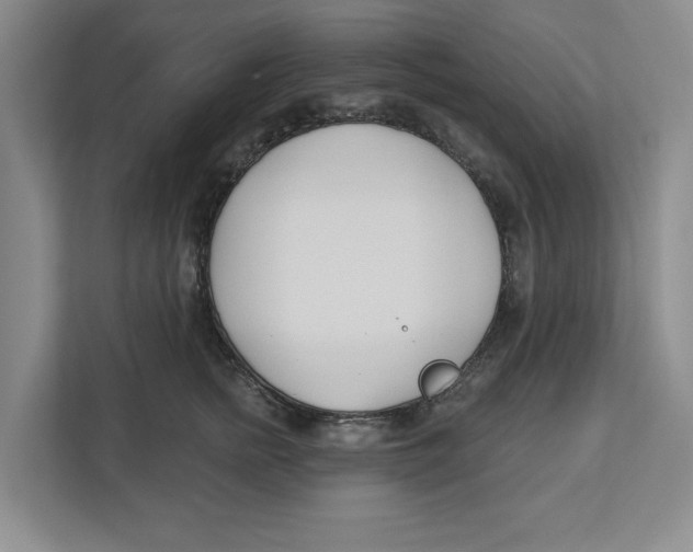 X0000112460758200909141058