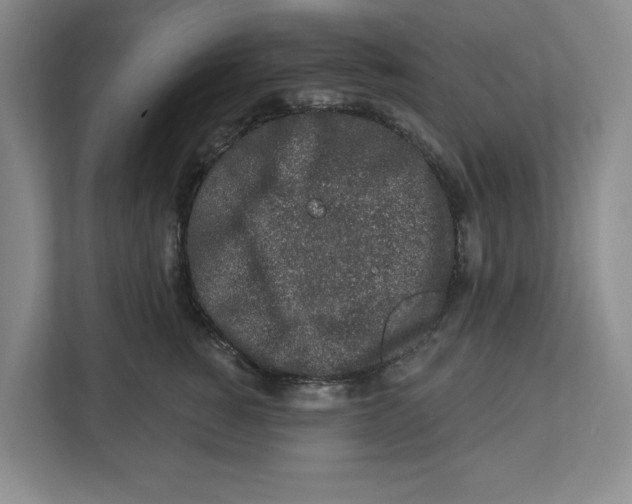 X0000112460760200909141058