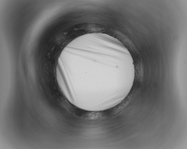 X0000112460762200909141058