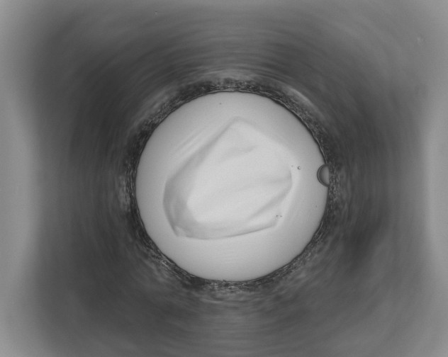 X0000112460774200909141057