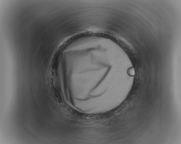X0000112460776200909141057