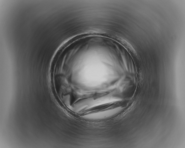 X0000112460784200909141057