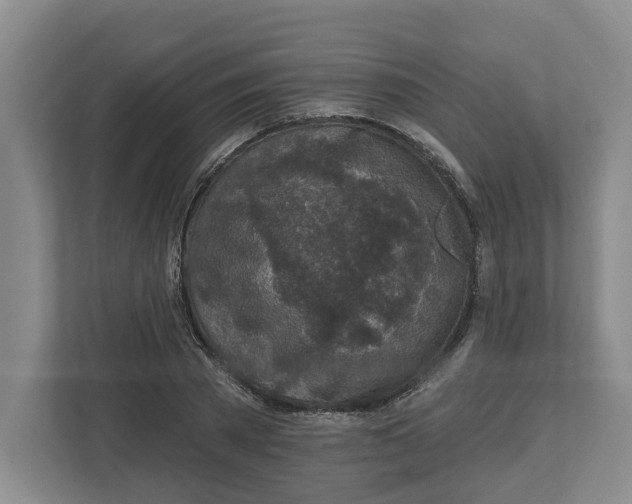 X0000112460785200909141057
