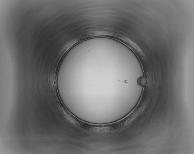 X0000112460793200909141057