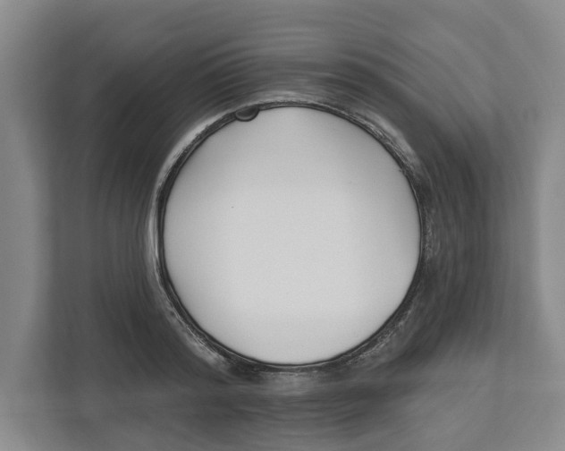 X0000112460796200909141057
