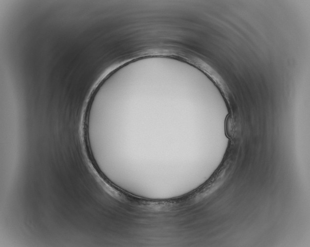 X0000112460803200909141057
