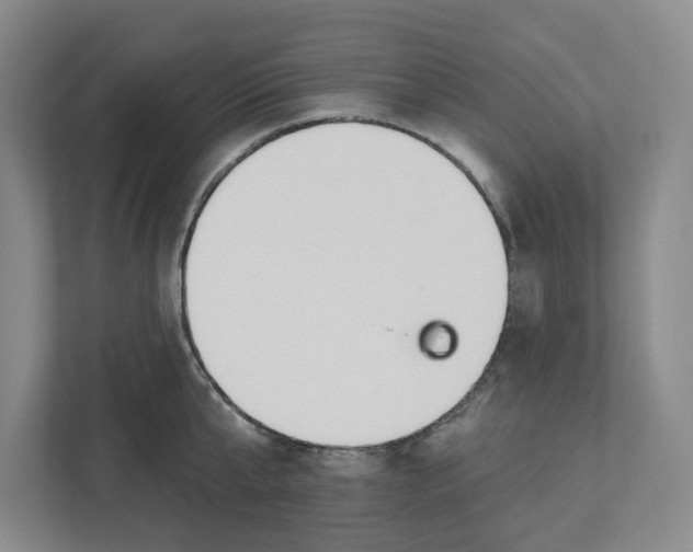 X0000112460807200909141057