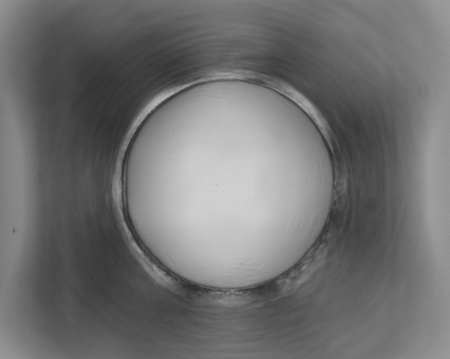 X0000112460811200909141057