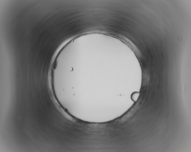 X0000112460812200909141057