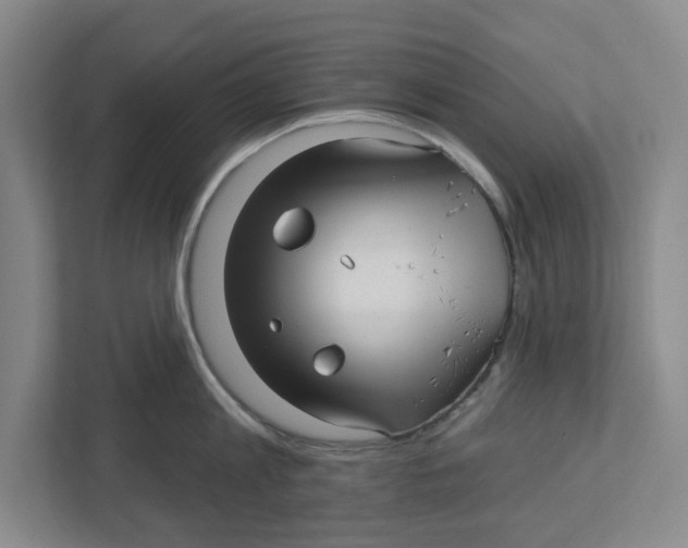 X0000112460813200909141057