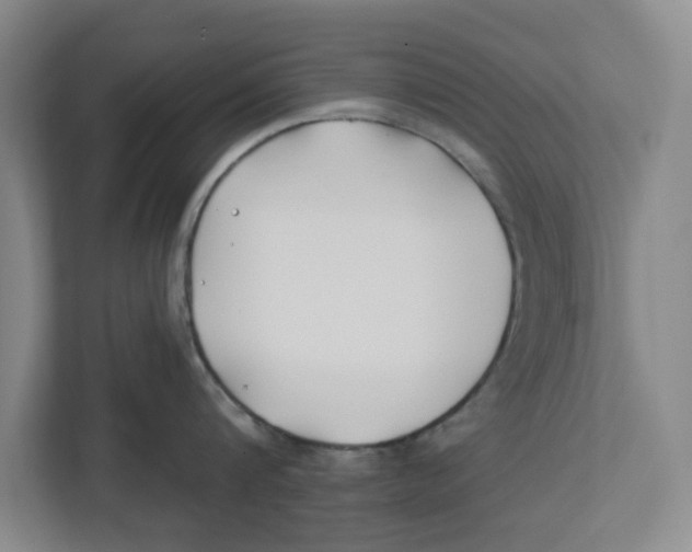 X0000112460816200909141057