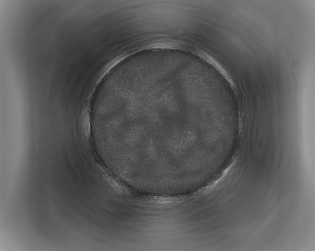 X0000112460829200909141056