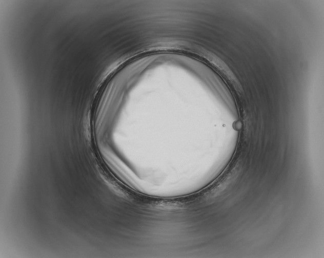 X0000112460842200909141056