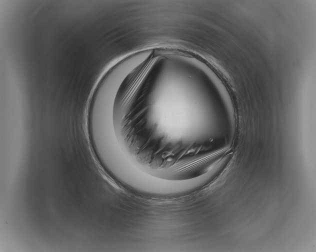 X0000112460846200909141056