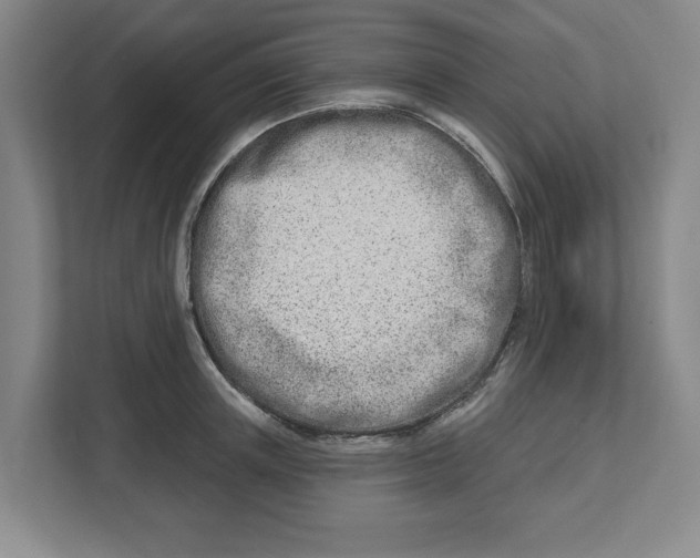 X0000112460851200909141057