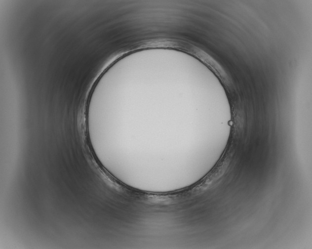 X0000112460852200909141057