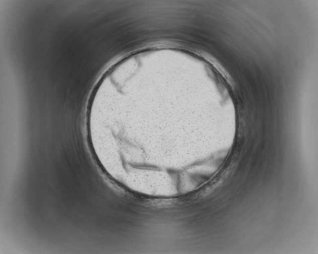 X0000112460853200909141057