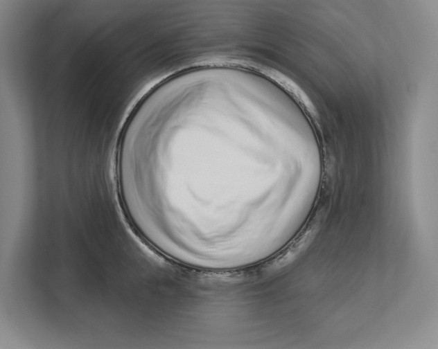X0000112460855200909141057
