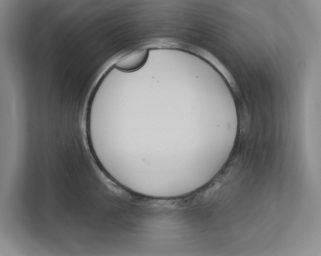 X0000112460861200909141057