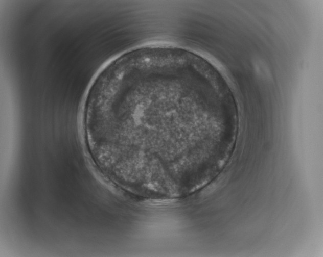 X0000112460864200909141057