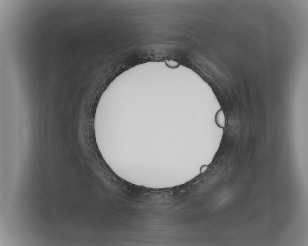 X0000112460865200909141056