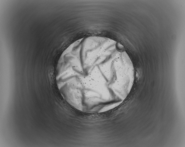 X0000112460867200909141056