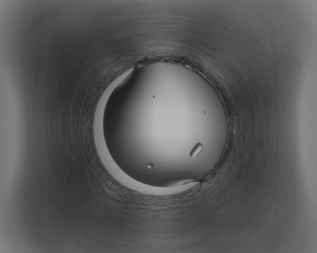 X0000112460868200909141056