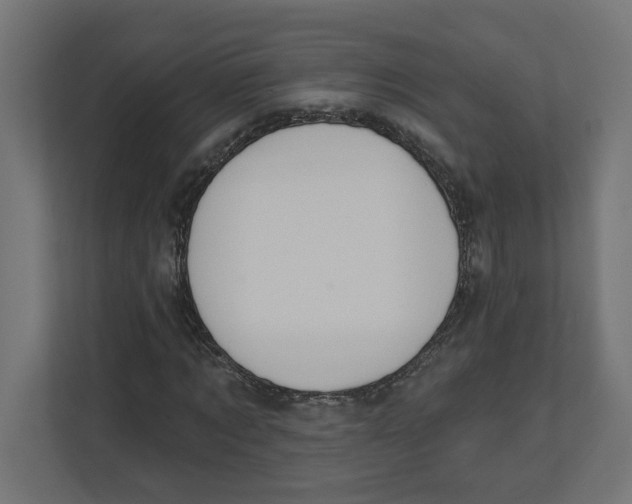 X0000112460869200909141056