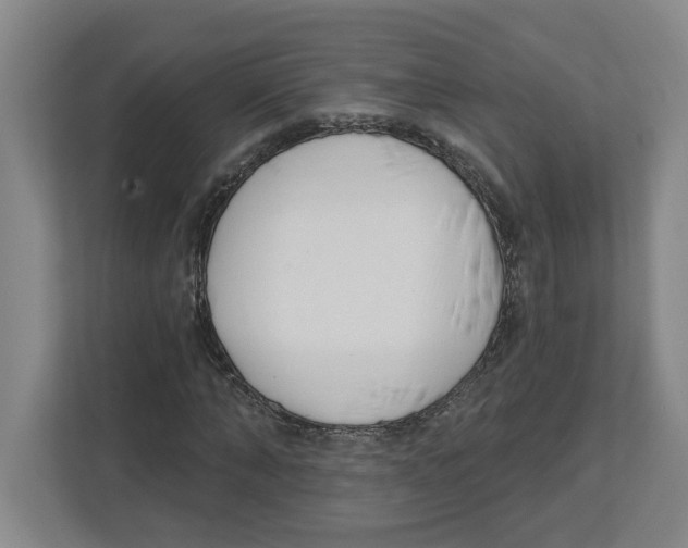 X0000112460870200909141056