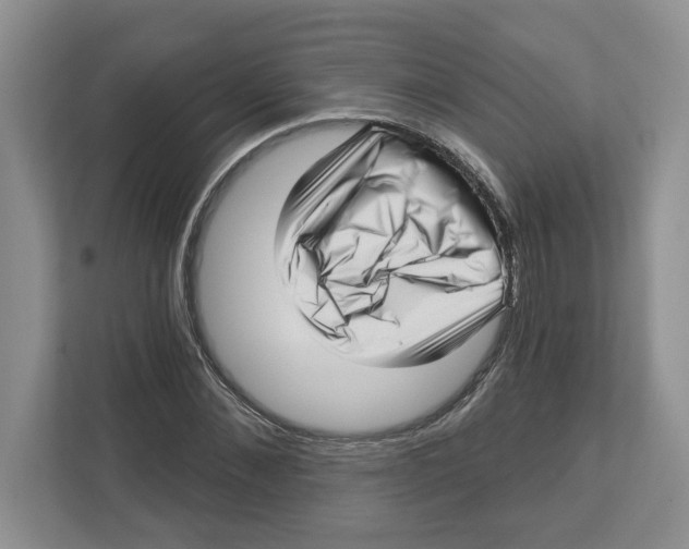 X0000112460876200909141056