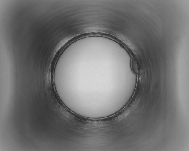 X0000112460877200909141056