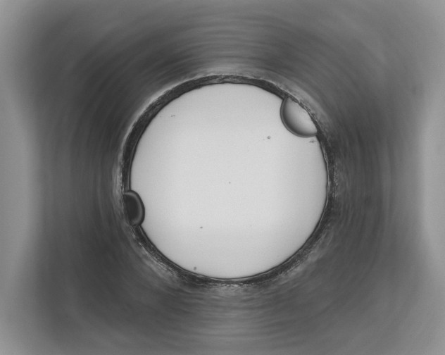 X0000112460880200909141056