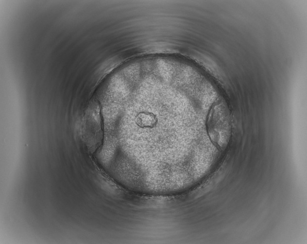X0000112460881200909141056