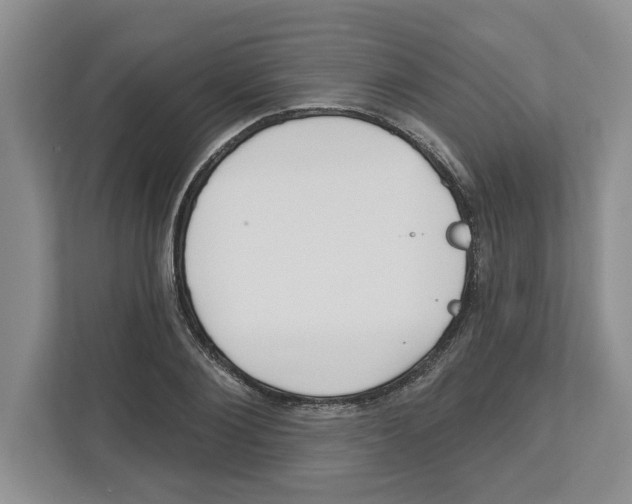 X0000112460884200909141056