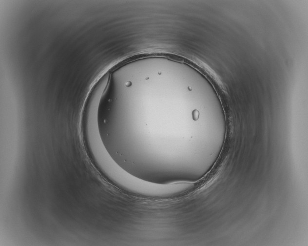 X0000112460885200909141056