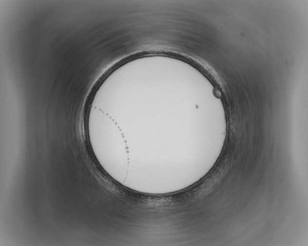 X0000112460887200909141056
