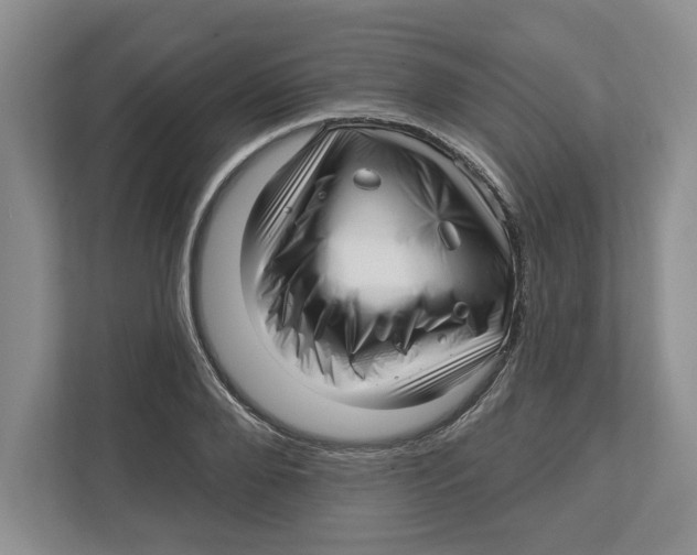 X0000112460888200909141056