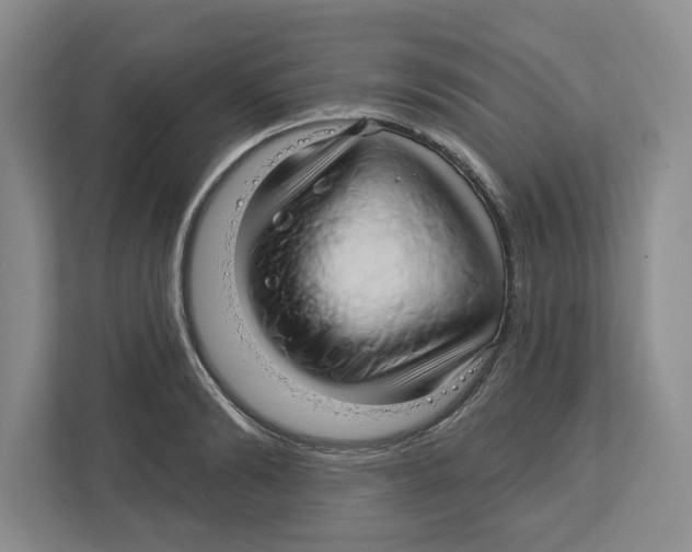 X0000112460894200909141056
