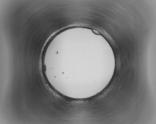 X0000112460896200909141056