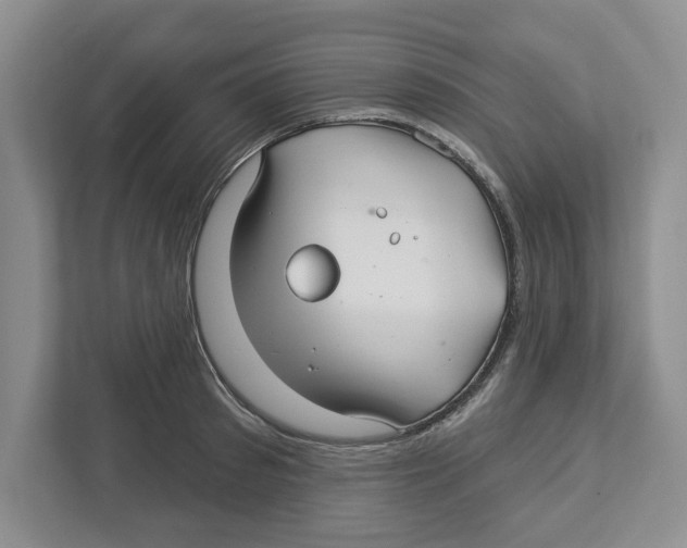 X0000112460897200909141056