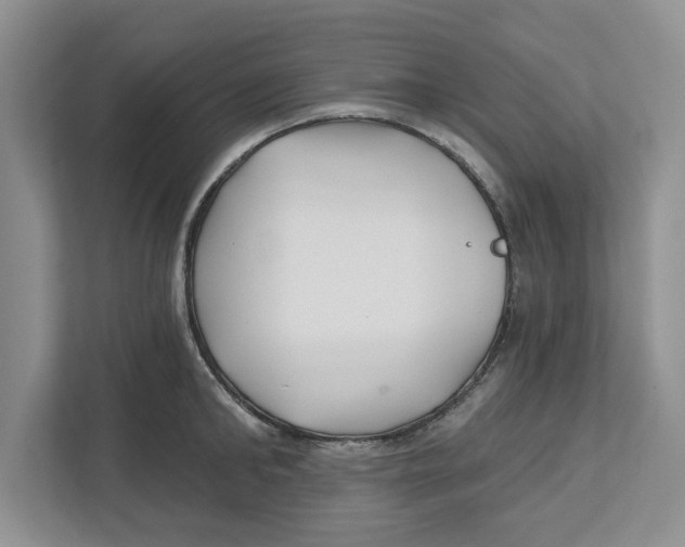 X0000112460902200909141056